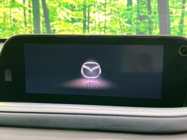 �y10.25�C���`�}�c�_�R�l�N�g�z�ԓ��̕��͋C�Ƀ}�b�`������^�f�B�X�v���C�B�X�}�z�ڑ��ł̃i�r�g�p��Bluetooth�Đ����A�l�X�ȋ@�\���y���߂܂��B�����I�ȃ_�C�������삪�\�ŁA�g��������ǍD�ł��B