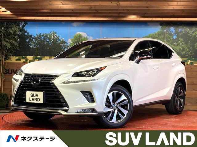 NX(レクサス) 300 スパイス&amp;シック 中古車画像