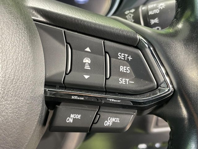 �y�}�c�_�E���[�_�[�N���[�Y�R���g���[���z�������H�ł̒��������s���y��!�����ő��x��ۂN���[�Y�R���g���[�����A�Փˌy���V�X�e���ƘA�g���A�O���̎ԗ������m���ĎԊԂ�ۂ悤�ɑ��x���߂��Ă���܂�!!