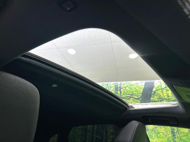 �y�T�����[�t�z�J���������Ղ�̊󏭑����A�T�����[�t����������Ă��܂�!�ԓ��ɖ�����������ꂽ��i�F���y���ވȊO�ɂ��A�ԓ��̋�C���ȒP�Ɋ��C�ł��ĉ��K�ł�!