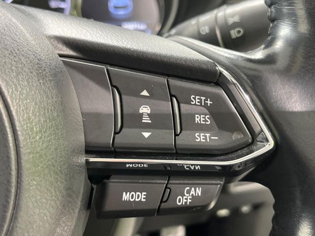 �y�}�c�_�E���[�_�[�N���[�Y�R���g���[���z�������H�ł̒��������s���y��!�����ő��x��ۂN���[�Y�R���g���[�����A�Փˌy���V�X�e���ƘA�g���A�O���̎ԗ������m���ĎԊԂ�ۂ悤�ɑ��x���߂��Ă���܂�!!