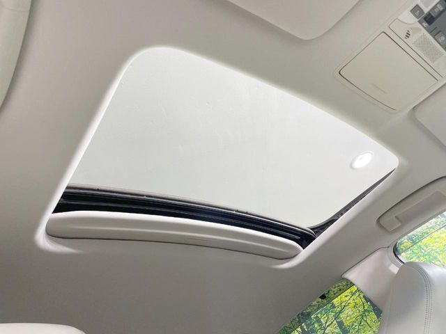 �y�T�����[�t�z�J���������Ղ�̊󏭑����A�T�����[�t����������Ă��܂�!�ԓ��ɖ�����������ꂽ��i�F���y���ވȊO�ɂ��A�ԓ��̋�C���ȒP�Ɋ��C�ł��ĉ��K�ł�!