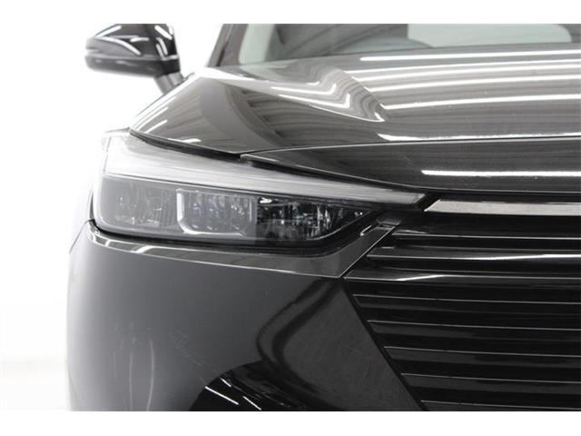 ���Ǝҗl�ւ̔̔��͂��f�肳���Ă��������܂��B �Ԍ������ԗ��̏ꍇ�́A�Ԍ����擾�������x�������z�ŕ\�����Ă���܂��B