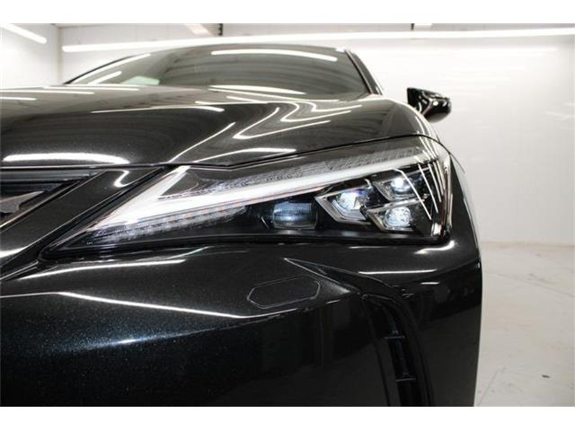 ���Ǝҗl�ւ̔̔��͂��f�肳���Ă��������܂��B �Ԍ������ԗ��̏ꍇ�́A�Ԍ����擾�������x�������z�ŕ\�����Ă���܂��B