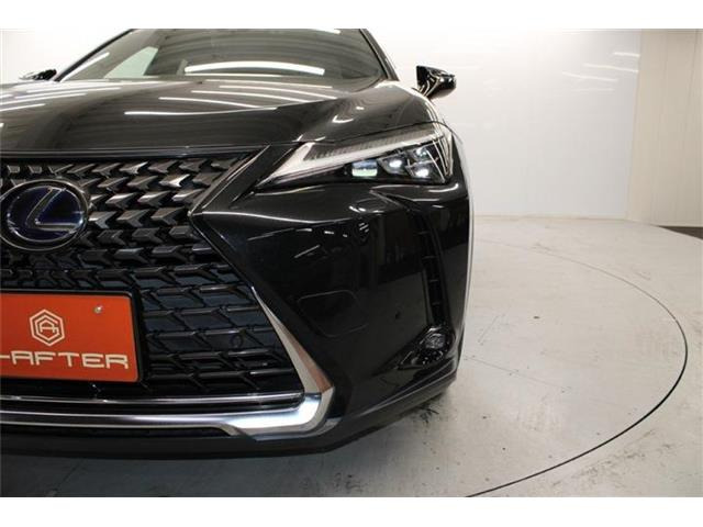 ���Ǝҗl�ւ̔̔��͂��f�肳���Ă��������܂��B �Ԍ������ԗ��̏ꍇ�́A�Ԍ����擾�������x�������z�ŕ\�����Ă���܂��B