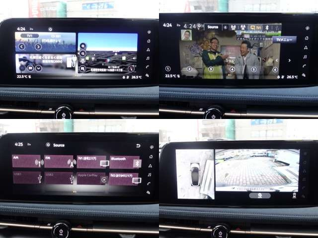 アリアB6 e-4ORCE 4WD