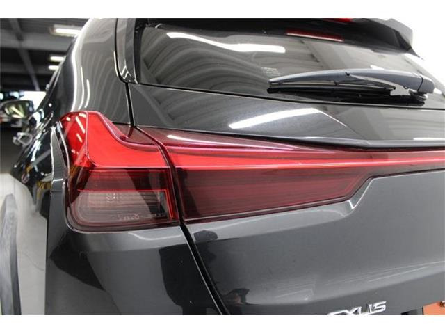 ���Ǝҗl�ւ̔̔��͂��f�肳���Ă��������܂��B �Ԍ������ԗ��̏ꍇ�́A�Ԍ����擾�������x�������z�ŕ\�����Ă���܂��B