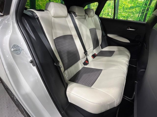 �㕔���Ȃ��C�ɂȂ�悤�ȃL�Y�E�����ւ��蓙�A�傫�ȃ_���[�W�͂Ȃ��A�ǍD�ȏ�Ԃł��B