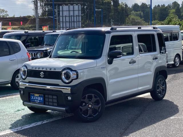 ハスラータフワイルド