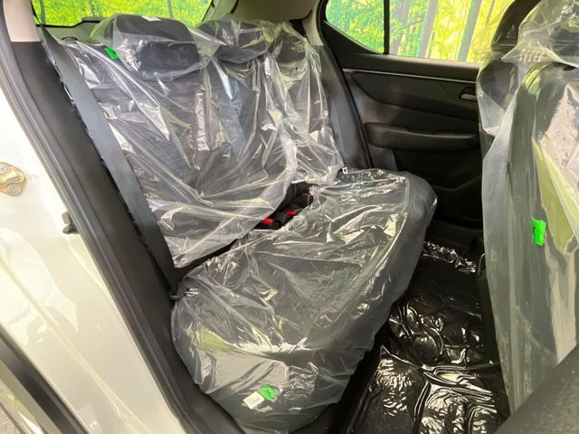 �㕔���Ȃ��C�ɂȂ�悤�ȃL�Y�E�����ւ��蓙�A�傫�ȃ_���[�W�͂Ȃ��A�ǍD�ȏ�Ԃł��B