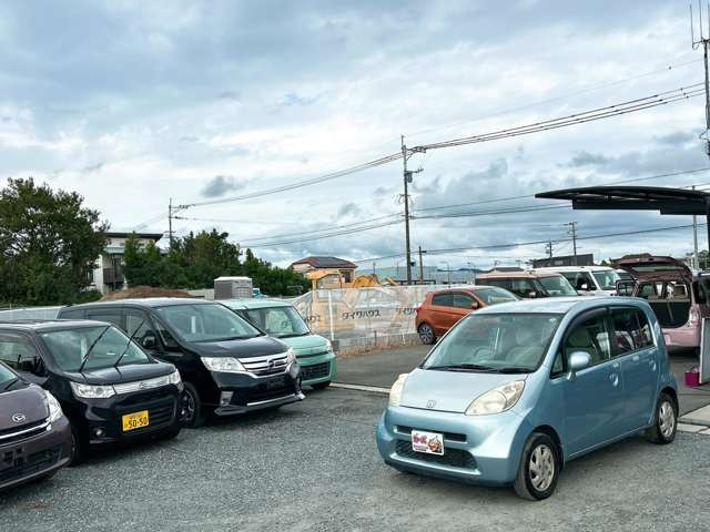 �y39.8���X�J�[�Y�̎��q���������������A���ɂ��肪�Ƃ��������܂��B���������S�s���c1186-7TEL:0942-73-6060�܂ł��⍇����������