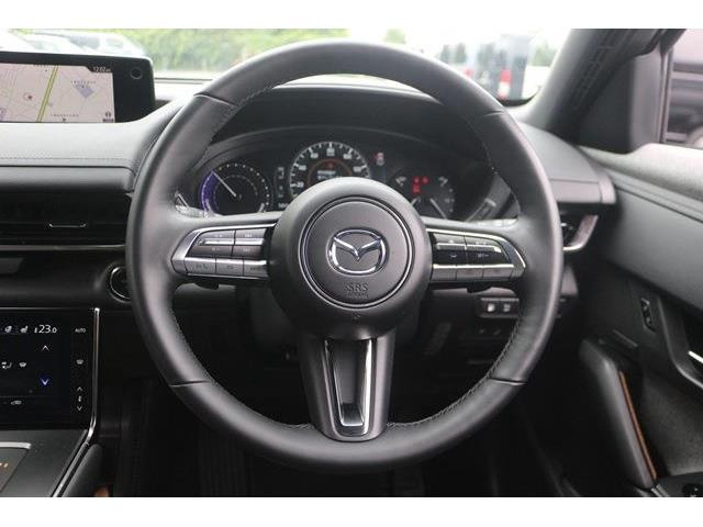 ���ЃI�[�g���[���͓����E�{�[�i�X�����s�v�B�Œ�84��܂ŉ\�ƂȂ��Ă���܂��B�R�������ł��\���܂���̂ł��C�y�ɂ����k�������B