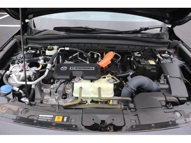 ��D�]�̃{�f�B�R�[�e�B���O�u�n�C���[�X�R�[�g�v�����[�Ԃ܂łɎ{�H�\�B�J���݂�����Ȃǒ��ÎԂ�����ƒ��߂Ă��܂���?�s�J�s�J�̏�Ԃł����o�����������܂��B