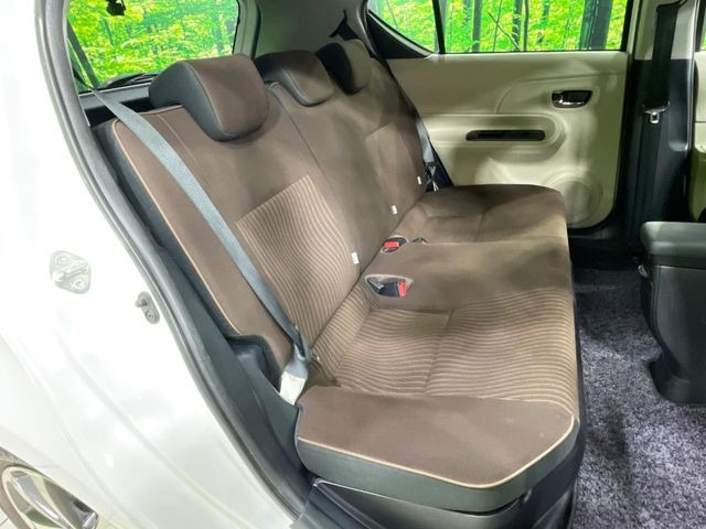 �㕔���Ȃ��C�ɂȂ�悤�ȃL�Y�E�����ւ��蓙�A�傫�ȃ_���[�W�͂Ȃ��A�ǍD�ȏ�Ԃł��B