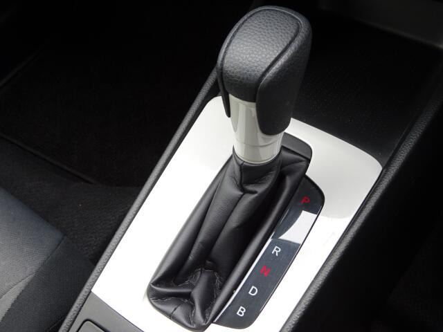 �傫�ȎC����Ȃ���ԗǍD�ł��B