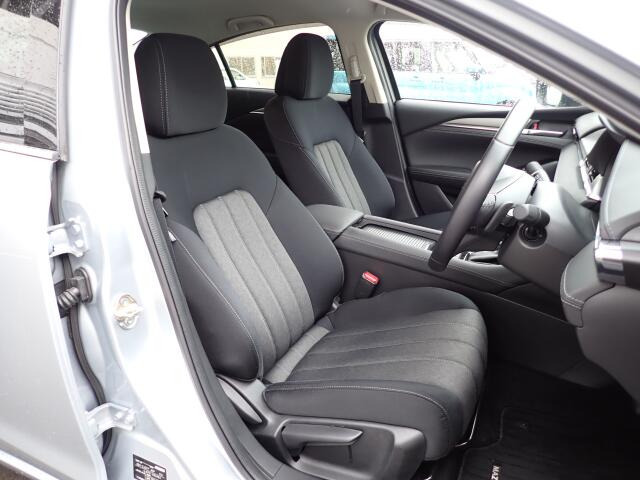 �^�]�Ȃ��傫�ȎC����Ȃ���ԗǍD�ł��B