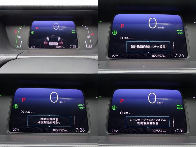 ���[�^�[�p�l�����m�肽����񂪈�ڗđR�ł��ˁB