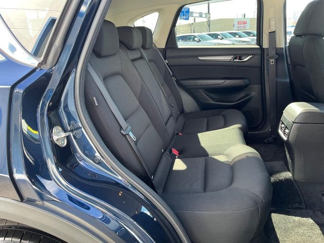 �㕔���Ȃ��C�ɂȂ�悤�ȃL�Y�E�����ւ��蓙�A�傫�ȃ_���[�W�͂Ȃ��A�ǍD�ȏ�Ԃł��B