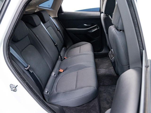 ���㕔���Ȃ��C�ɂȂ�悤�ȃL�Y�E�����ւ��蓙�A�傫�ȃ_���[�W�͂Ȃ��A�ǍD�ȏ�Ԃł��B