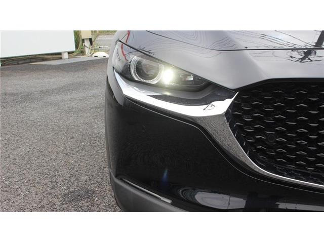 �����X�o���Ȃ����q�l�A���Ǝҗl�ւ̔̔��͂��f�肳���Ă��������܂��B�Ԍ������ԗ��̏ꍇ�́A�Ԍ����擾�������x�������z�ŕ\�����Ă���܂��B