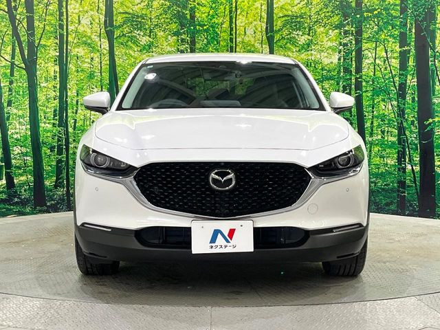 ��D�]�𒸂��Ă���܂��{�f�B�R�[�g���D�]��t���B�������x�̃K���X�疌�ŝ����͂������A�㎿�ȃc���E����������B���O����_���J�����؂Ȉ��Ԃ�ی삵�A�F�����E�򉻂�h�~�B