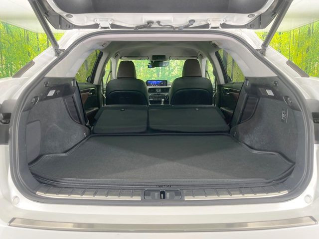 よりクリーンな状態をキープしたいお客様には『ナノゾーンコート』がおすすめ!コロナウイルス対策や、除菌・消臭に効果を発揮し多くの方にご好評いただいております。