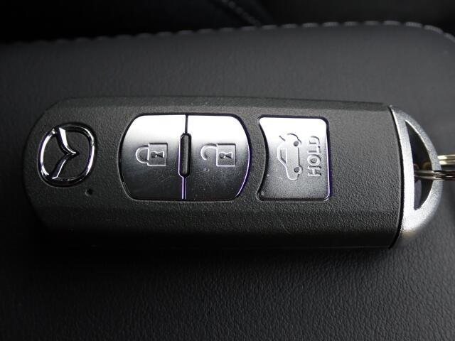 ���Ƃ��Ă��֗��ȃX�}�[�g�L�[�V�X�e���������g�т��邾���Ńh�A���̎{���E�J���E�G���W���n�����\�ȃX�}�[�g�L�[�V�X�e��