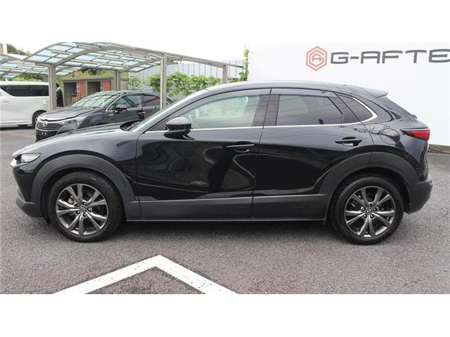 �����X�o���Ȃ����q�l�A���Ǝҗl�ւ̔̔��͂��f�肳���Ă��������܂��B�Ԍ������ԗ��̏ꍇ�́A�Ԍ����擾�������x�������z�ŕ\�����Ă���܂��B