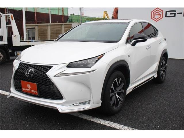 ���Ǝҗl�ւ̔̔��͂��f�肳���Ă��������܂��B �Ԍ������ԗ��̏ꍇ�́A�Ԍ����擾�������x�������z�ŕ\�����Ă���܂��B