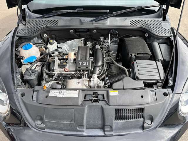 ���|�ς݂Ŕ��ɂ��ꂢ�ł���!!