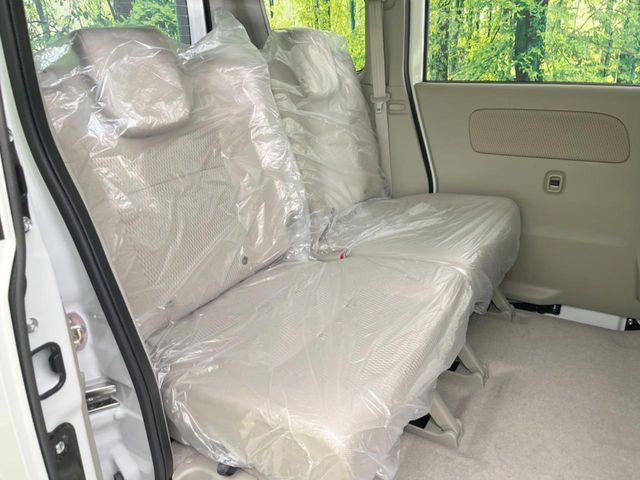 �㕔���Ȃ��C�ɂȂ�悤�ȃL�Y�E�����ւ��蓙�A�傫�ȃ_���[�W�͂Ȃ��A�ǍD�ȏ�Ԃł��B