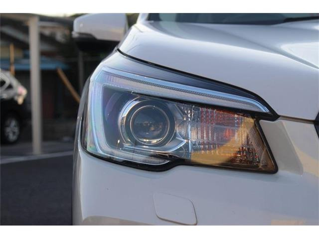 ���Ǝҗl�ւ̔̔��͂��f�肳���Ă��������܂��B �Ԍ������ԗ��̏ꍇ�́A�Ԍ����擾�������x�������z�ŕ\�����Ă���܂��B