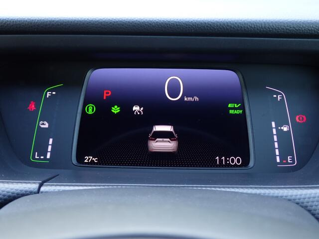 ���[�^�[�p�l�����m�肽����񂪈�ڗđR�ł��ˁB