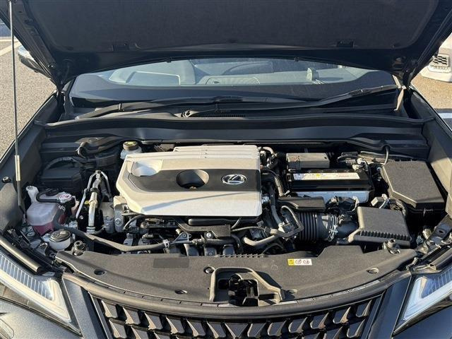 ���Ǝҗl�ւ̔̔��͂��f�肳���Ă��������܂��B �Ԍ������ԗ��̏ꍇ�́A�Ԍ����擾�������x�������z�ŕ\�����Ă���܂��B