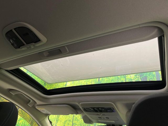 �y�T�����[�t�z�J���������Ղ�̊󏭑����A�T�����[�t����������Ă��܂�!�ԓ��ɖ�����������ꂽ��i�F���y���ވȊO�ɂ��A�ԓ��̋�C���ȒP�Ɋ��C�ł��ĉ��K�ł�!