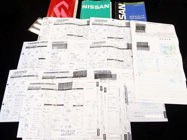 �S���ł��䐔�̏��Ȃ��X�J�C���C��GTS25t�^�C�vM�X�y�b�N2�̓���!�ߋ����𐮔��L�^���19���c���Ă���A���s90,130km���ɂ̓^�C�~���O�x���g�ꎮ�����A���s113,271km���O��p�b�h������