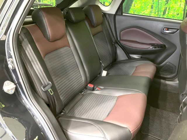 �㕔���Ȃ��C�ɂȂ�悤�ȃL�Y�E�����ւ��蓙�A�傫�ȃ_���[�W�͂Ȃ��A�ǍD�ȏ�Ԃł��B