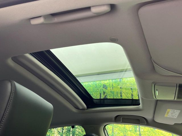 �y�T�����[�t�z�J���������Ղ�̊󏭑����A�T�����[�t����������Ă��܂�!�ԓ��ɖ�����������ꂽ��i�F���y���ވȊO�ɂ��A�ԓ��̋�C���ȒP�Ɋ��C�ł��ĉ��K�ł�!