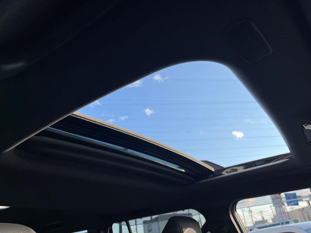 �y�T�����[�t�z�J���������Ղ�̊󏭑����A�T�����[�t����������Ă��܂�!�ԓ��ɖ�����������ꂽ��i�F���y���ވȊO�ɂ��A�ԓ��̋�C���ȒP�Ɋ��C�ł��ĉ��K�ł�!