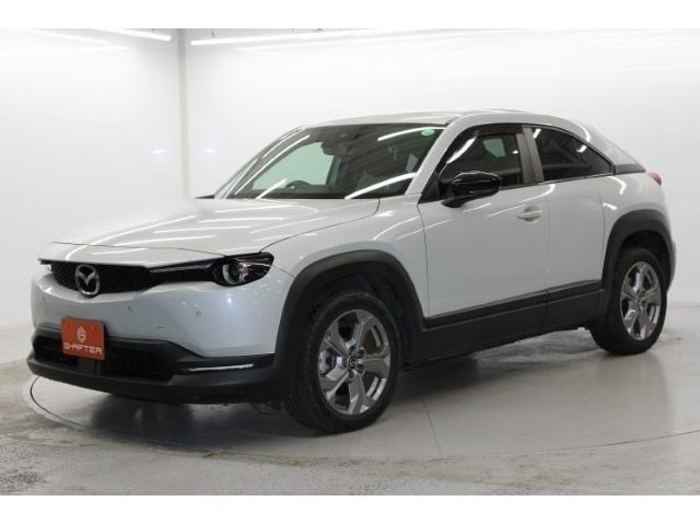 ���Ǝҗl�ւ̔̔��͂��f�肳���Ă��������܂��B �Ԍ������ԗ��̏ꍇ�́A�Ԍ����擾�������x�������z�ŕ\�����Ă���܂��B