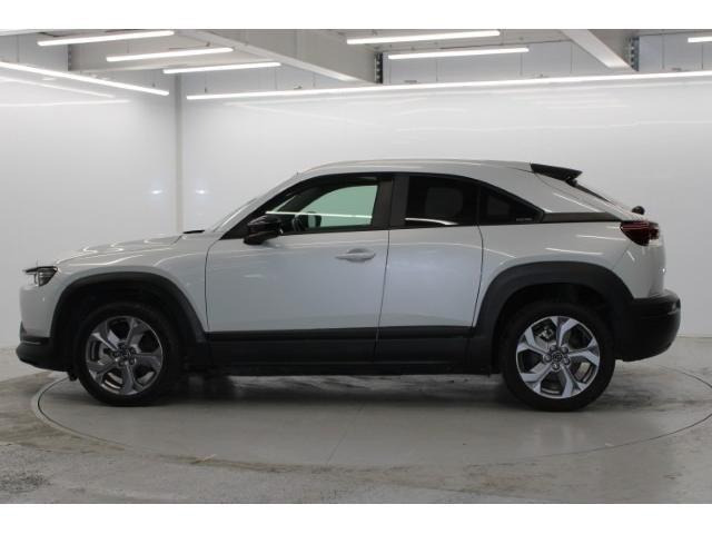 ���Ǝҗl�ւ̔̔��͂��f�肳���Ă��������܂��B �Ԍ������ԗ��̏ꍇ�́A�Ԍ����擾�������x�������z�ŕ\�����Ă���܂��B