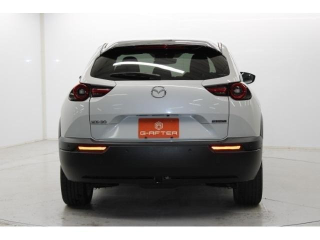 ���Ǝҗl�ւ̔̔��͂��f�肳���Ă��������܂��B �Ԍ������ԗ��̏ꍇ�́A�Ԍ����擾�������x�������z�ŕ\�����Ă���܂��B