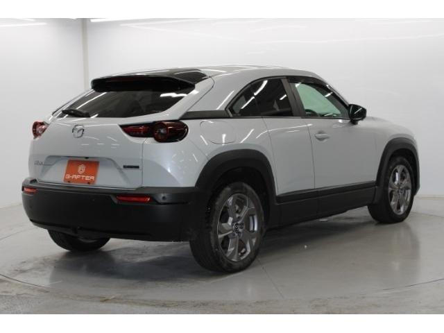 ���Ǝҗl�ւ̔̔��͂��f�肳���Ă��������܂��B �Ԍ������ԗ��̏ꍇ�́A�Ԍ����擾�������x�������z�ŕ\�����Ă���܂��B