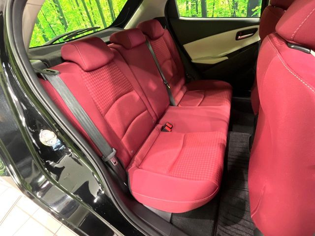 �㕔���Ȃ��C�ɂȂ�悤�ȃL�Y�E�����ւ��蓙�A�傫�ȃ_���[�W�͂Ȃ��A�ǍD�ȏ�Ԃł��B