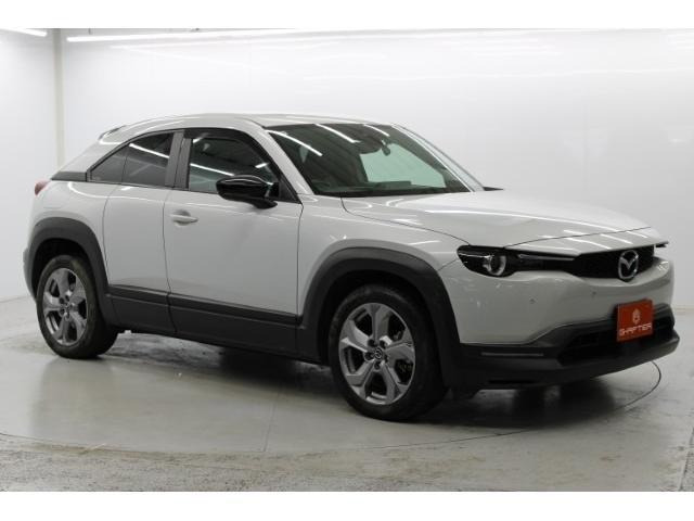 ���Ǝҗl�ւ̔̔��͂��f�肳���Ă��������܂��B �Ԍ������ԗ��̏ꍇ�́A�Ԍ����擾�������x�������z�ŕ\�����Ă���܂��B