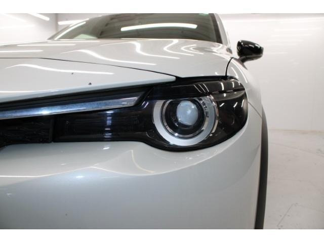 ���Ǝҗl�ւ̔̔��͂��f�肳���Ă��������܂��B �Ԍ������ԗ��̏ꍇ�́A�Ԍ����擾�������x�������z�ŕ\�����Ă���܂��B