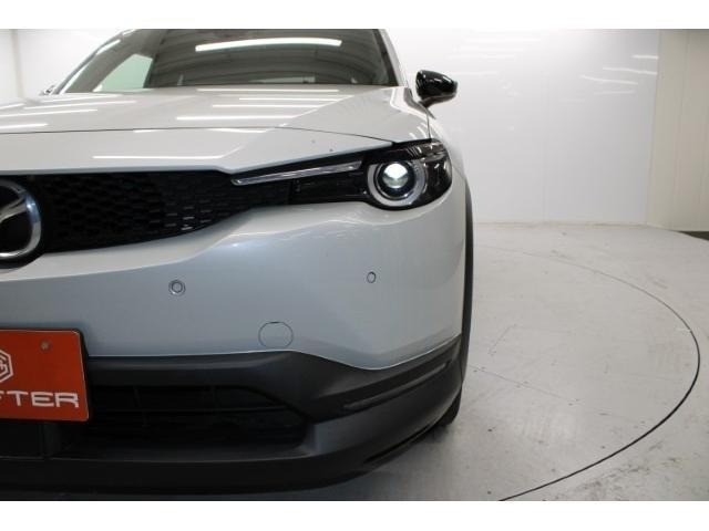 ���Ǝҗl�ւ̔̔��͂��f�肳���Ă��������܂��B �Ԍ������ԗ��̏ꍇ�́A�Ԍ����擾�������x�������z�ŕ\�����Ă���܂��B