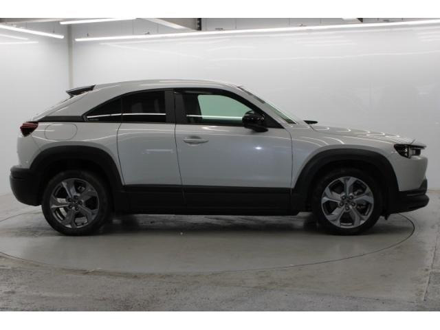 ���Ǝҗl�ւ̔̔��͂��f�肳���Ă��������܂��B �Ԍ������ԗ��̏ꍇ�́A�Ԍ����擾�������x�������z�ŕ\�����Ă���܂��B