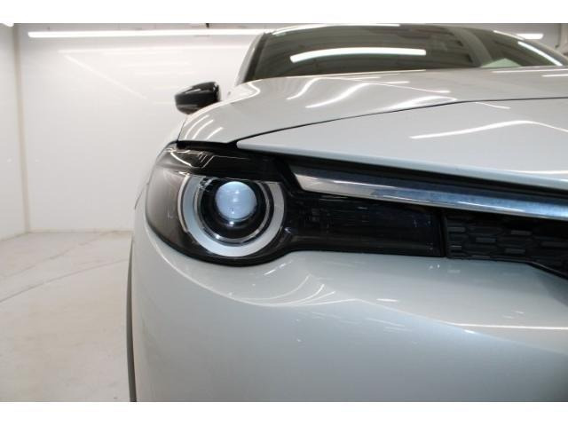 ���Ǝҗl�ւ̔̔��͂��f�肳���Ă��������܂��B �Ԍ������ԗ��̏ꍇ�́A�Ԍ����擾�������x�������z�ŕ\�����Ă���܂��B