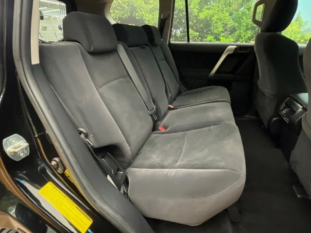 �㕔���Ȃ��C�ɂȂ�悤�ȃL�Y�E�����ւ��蓙�A�傫�ȃ_���[�W�͂Ȃ��A�ǍD�ȏ�Ԃł��B